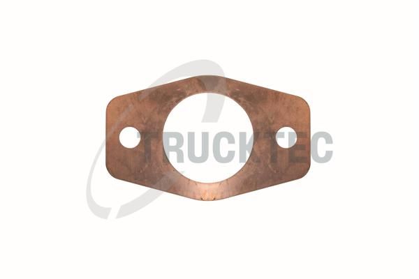 TRUCKTEC AUTOMOTIVE 01.16.003 - Išmetimo kolektoriaus tarpinė