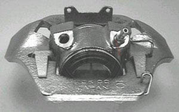 525541.JPG