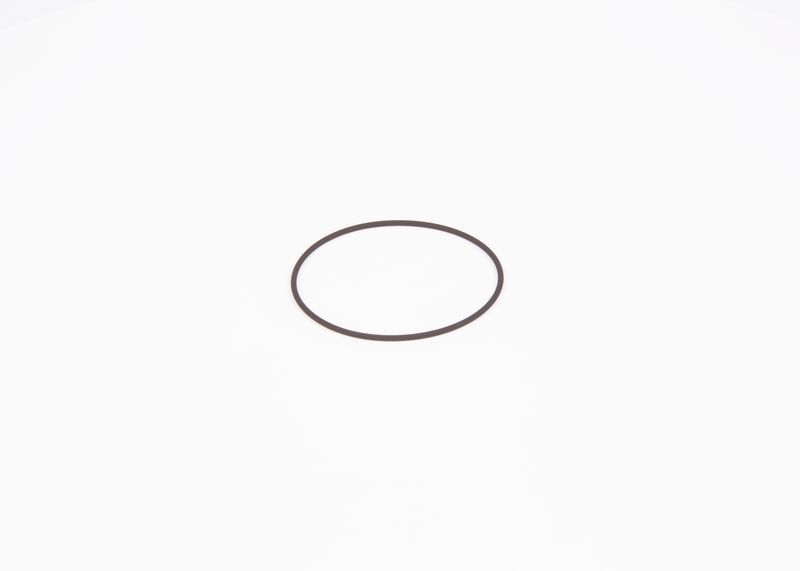 Inel de etansare F 01M 100 371 BOSCH