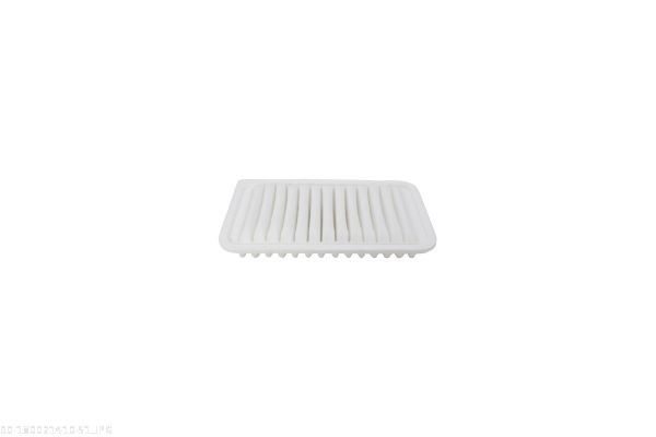 AUTOMEGA 180021410 Air Filter