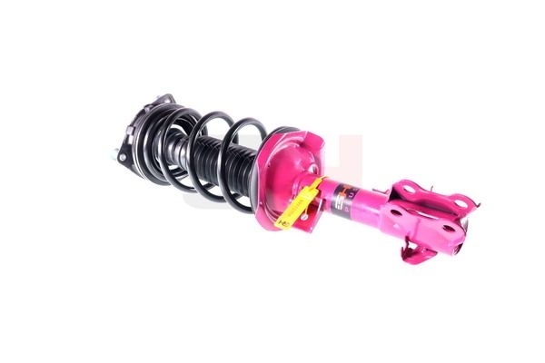 Vedruamort, GH GH-352298C01