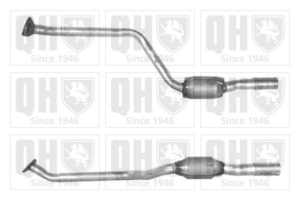 QH_QCAT90804H.JPG