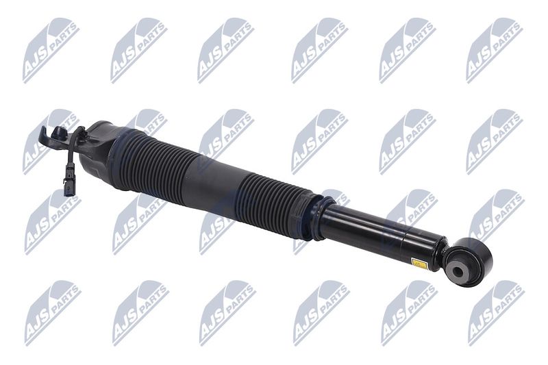 Amort, NTY A-LR-022