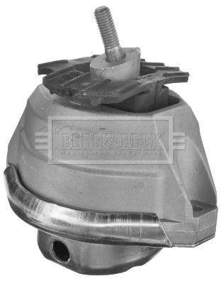BEM4316_1375681.JPG