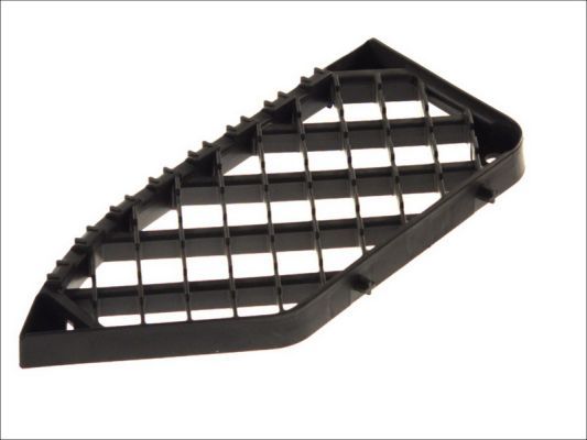 Türschwellen - Trittbrett