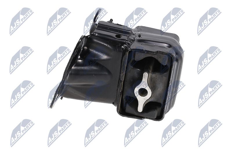 Paigutus, Mootor, NTY ZPS-CH-154