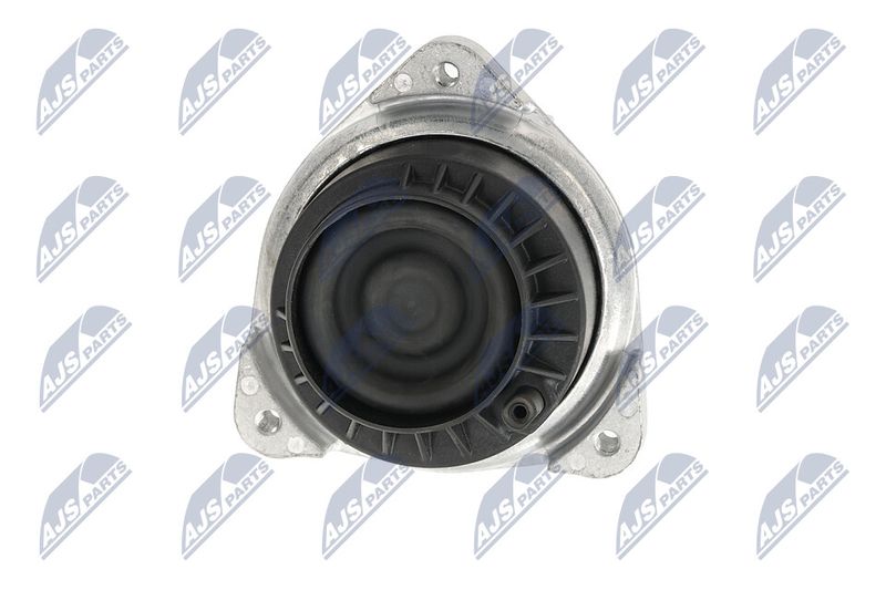 Paigutus, Mootor, NTY ZPS-BM-048