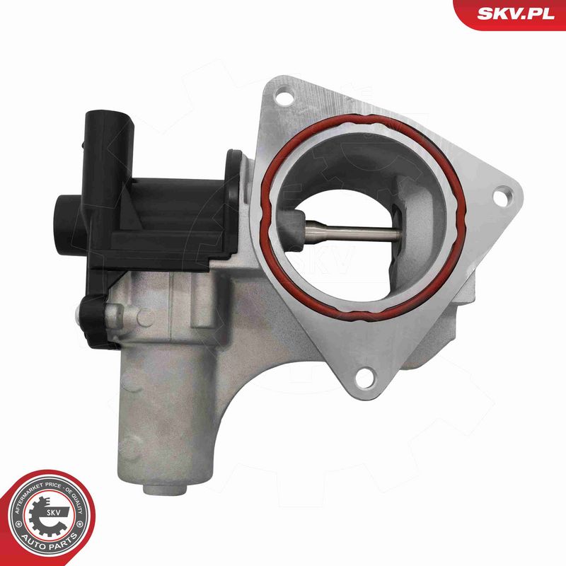 ESEN SKV 14SKV320 EGR Valve