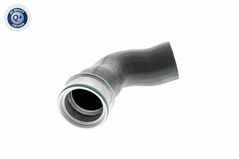 VAICO V10-3816 Charge Air Hose
