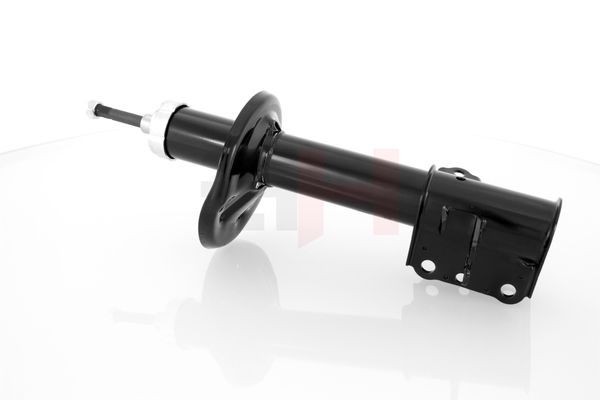 Amort, GH GH-323281H