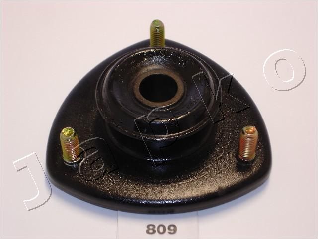 GOJ809_1.JPG