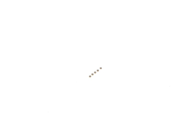 BOSCH F00ZC99747 Repair Kit, common rail system
