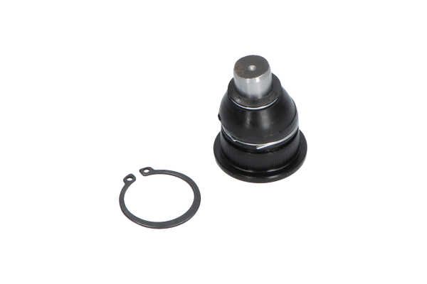Kavo Parts SBJ-10011 Šarnyras