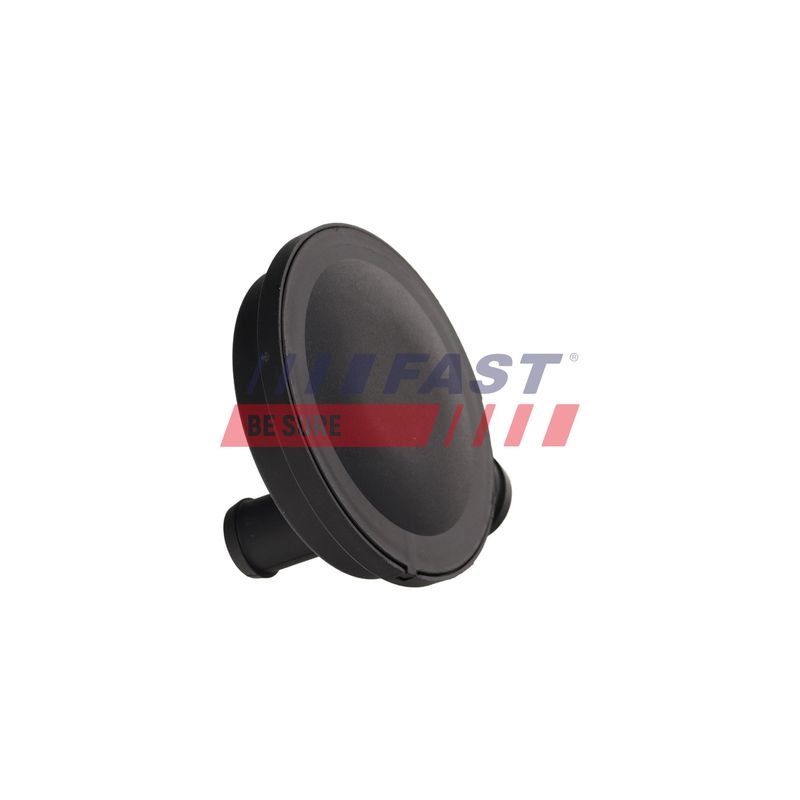 FAST FT11930 Valve, crankcase ventilation