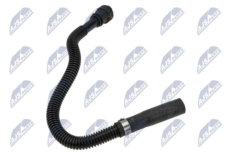 BPP-CT-029_2-WM.JPG
