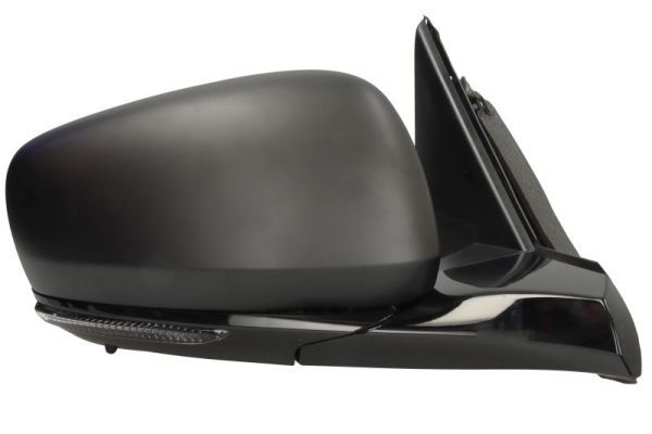 BLIC 5402-09-1241313P Exterior Mirror