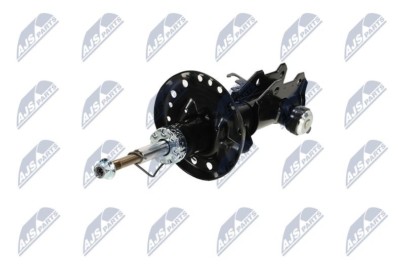 Amort, NTY A-PL-062