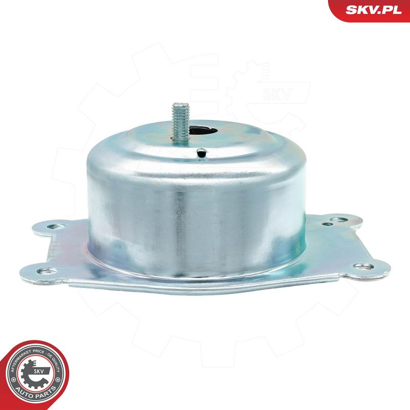 Paigutus, Mootor, ESEN SKV 75SKV135