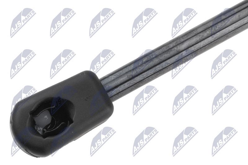 NTY AE-CH-075 Gas Spring, bonnet