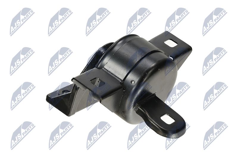 Paigutus, Mootor, NTY ZPS-DW-011