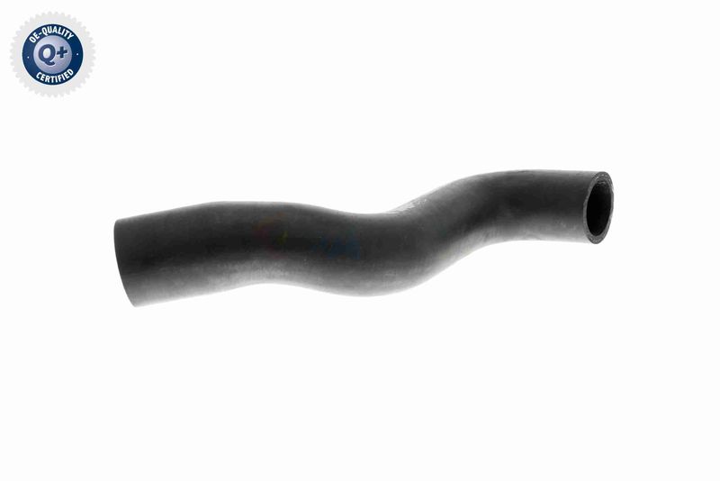 VAICO V30-1619 Radiator Hose