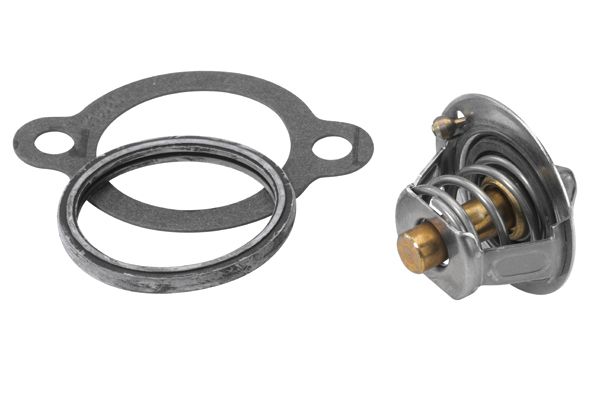 BorgWarner (Wahler) 410183.82D Thermostat, coolant