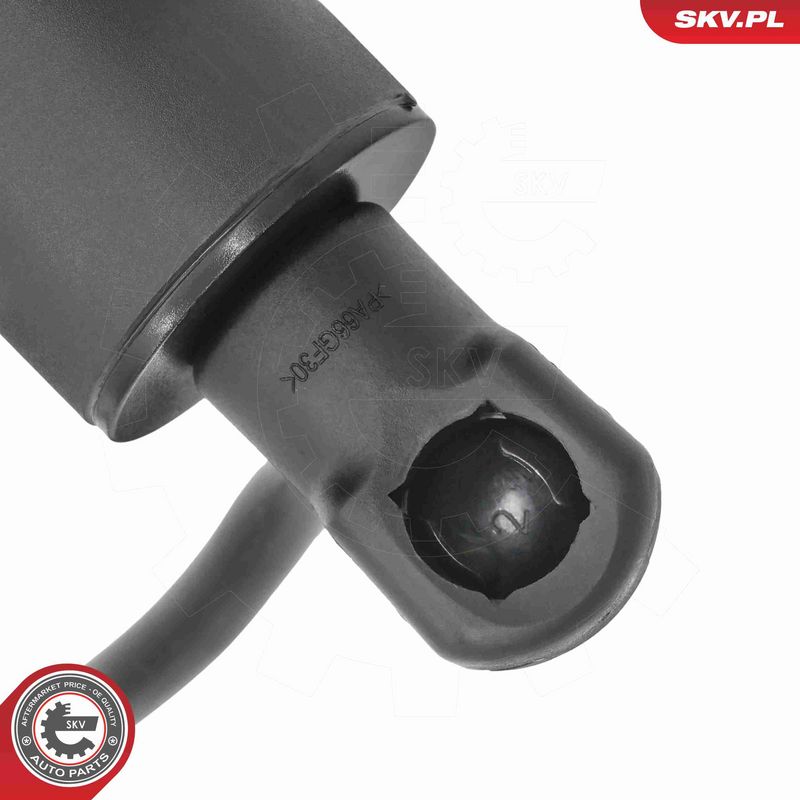 ESEN SKV 52SKV299 Electric Motor, tailgate
