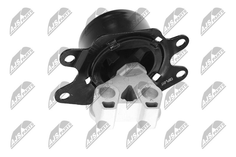 Paigutus, Mootor, NTY ZPS-PL-053