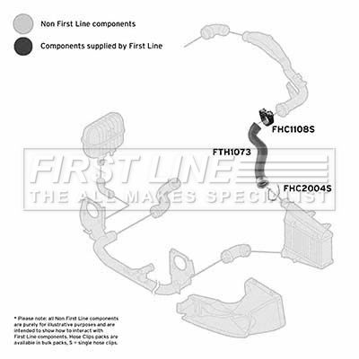 FTH1073_1093742.JPG