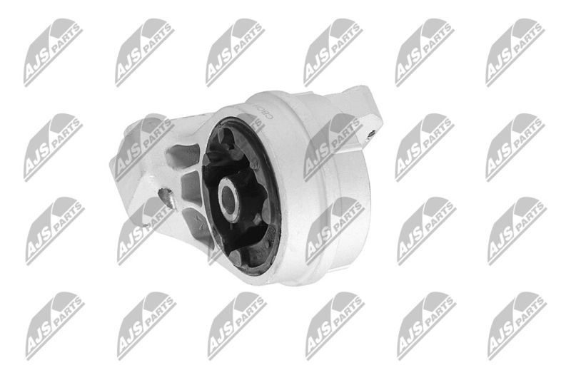 Paigutus, Mootor, NTY ZPS-CH-148