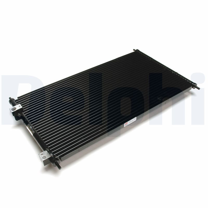 CF1126.JPG