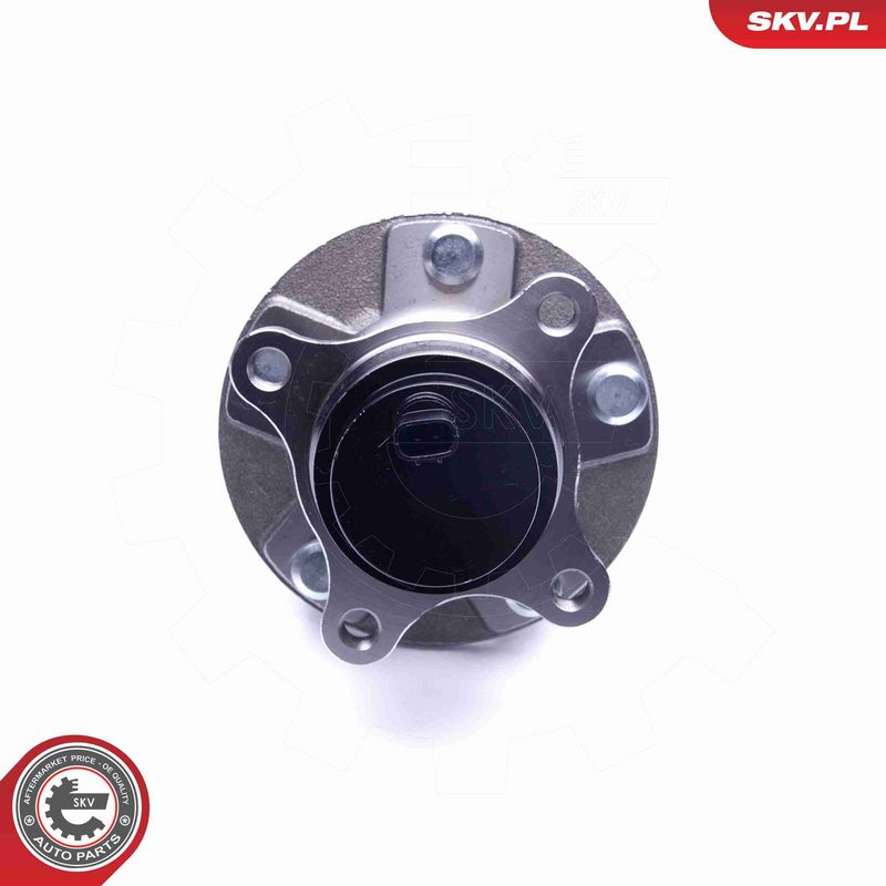 ESEN SKV 29SKV276 Wheel Bearing Kit