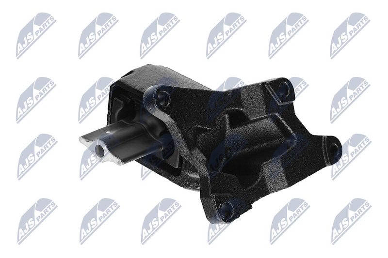 Paigutus, Mootor, NTY ZPS-CH-030