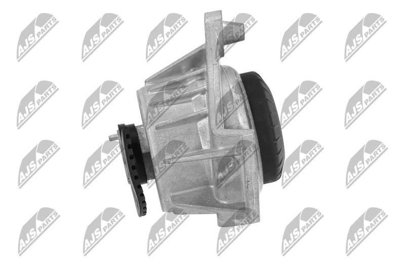 Paigutus, Mootor, NTY ZPS-ME-066