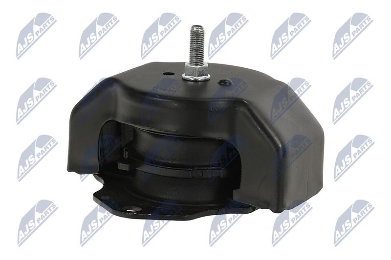 Paigutus, Mootor, NTY ZPS-MS-011