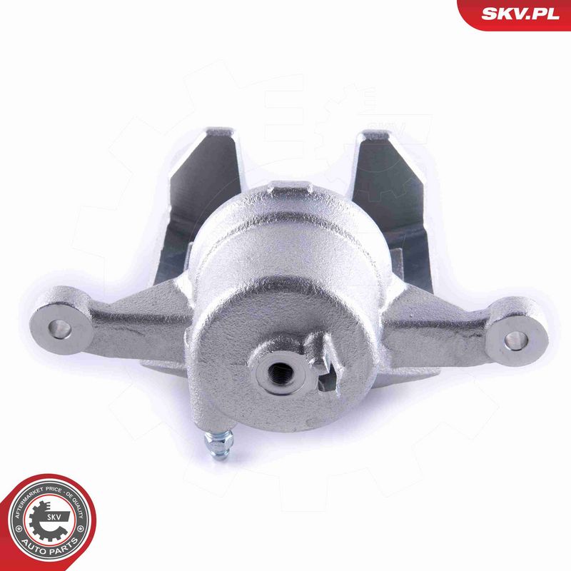 ESEN SKV 55SKV272 Brake Caliper