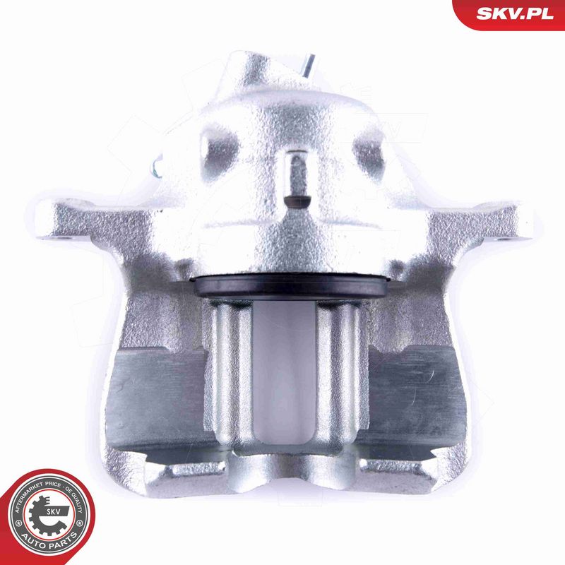 ESEN SKV 55SKV391 Brake Caliper