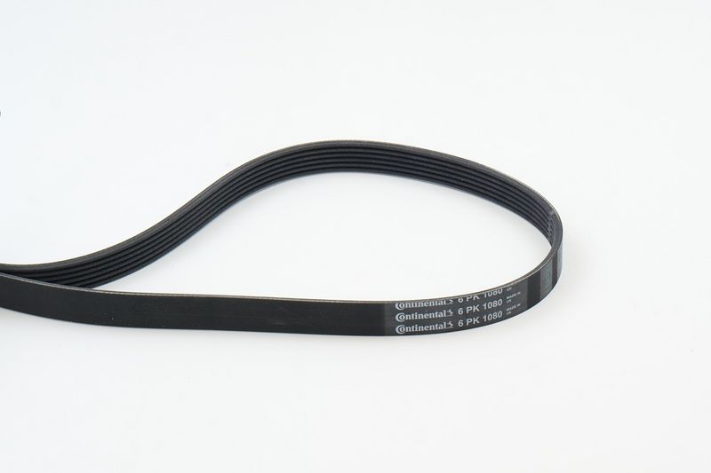 CONTINENTAL CTAM 6PK1080 V-Ribbed Belt