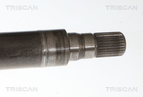 854027582_4.JPG