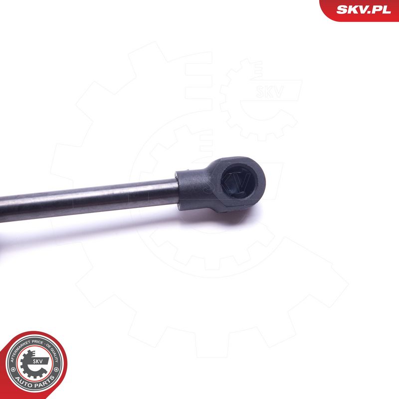 Gaasivedru, pagasi-, veoruum, ESEN SKV 52SKV738