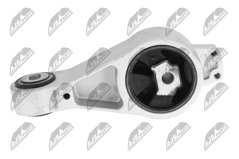 Paigutus, Mootor, NTY ZPS-CH-056