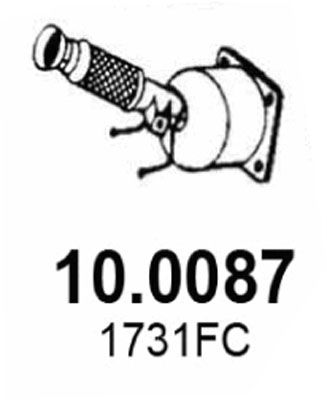 10.0087_1.JPG