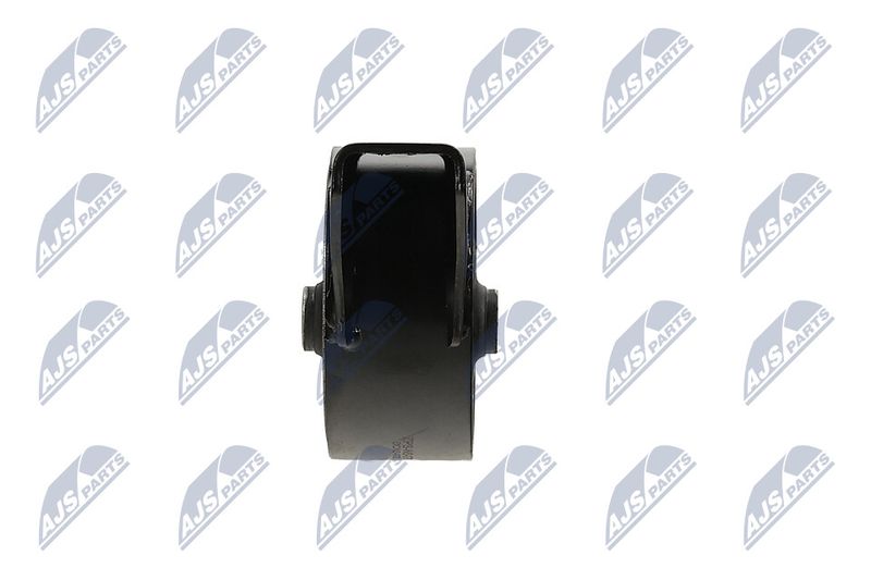 Paigutus, Mootor, NTY ZPS-NS-079