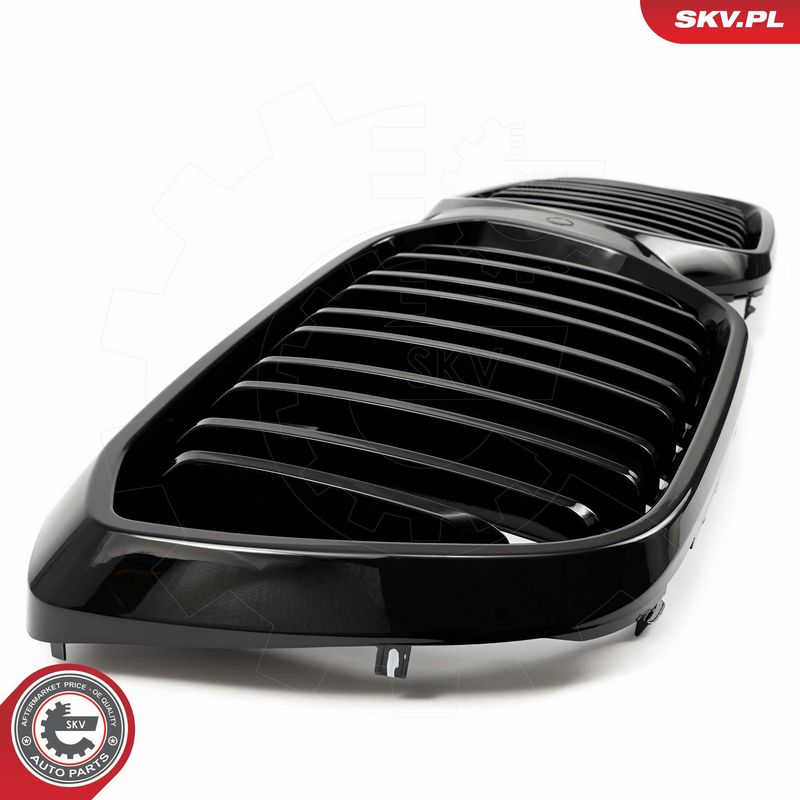 Radiaatorivõre, ESEN SKV 66SKV316