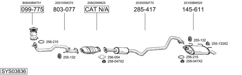 SYS03836.JPG