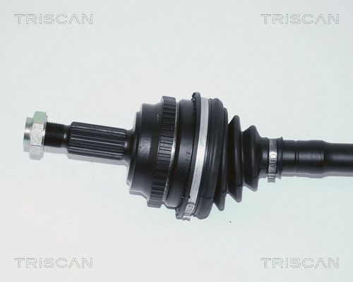 854025580_2.JPG