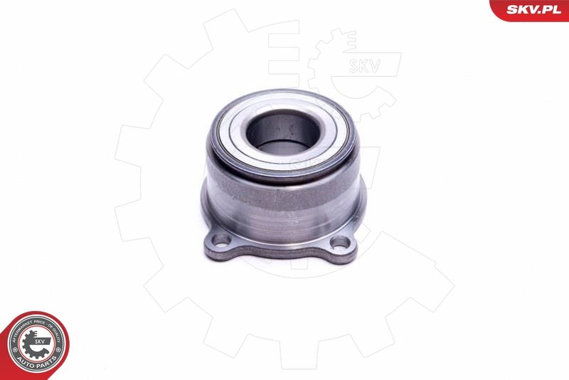 ESEN SKV 29SKV519 Wheel Bearing Kit