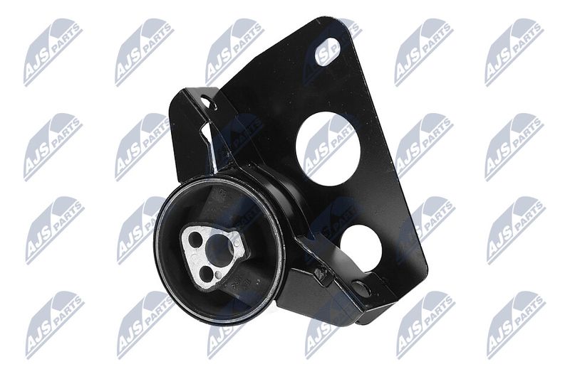 Paigutus, Mootor, NTY ZPS-DW-007