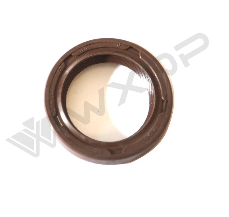WXQP 715573 Shaft Seal, camshaft