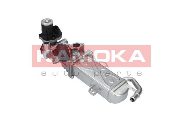 KAMOKA 19071 EGR Module